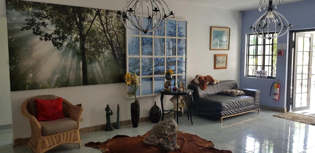 Little Savoy Guest House New รันอเวย์เบย์ ภายนอก รูปภาพ