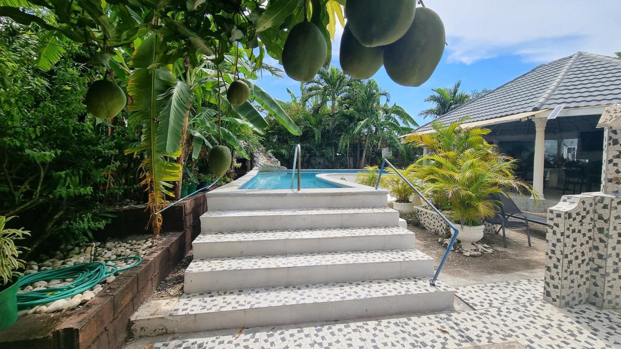 Little Savoy Guest House New รันอเวย์เบย์ ภายนอก รูปภาพ